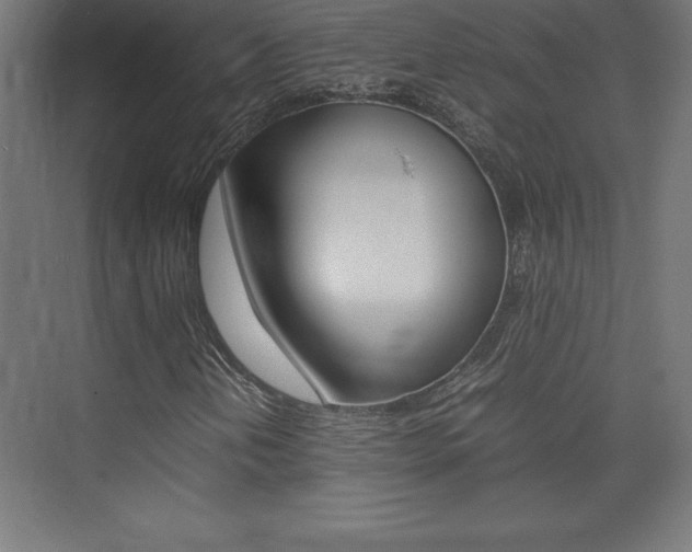 X0000074031202200608211127
