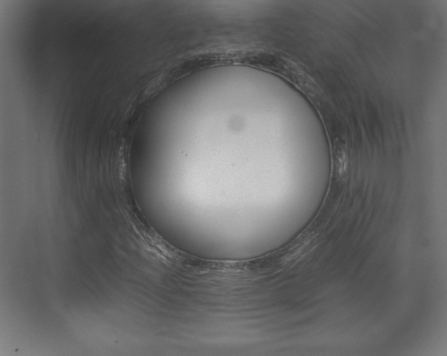 X0000074031204200608211127