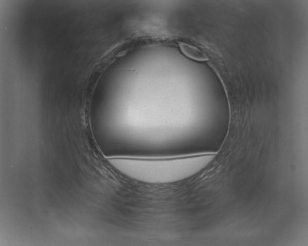 X0000074031205200608211127