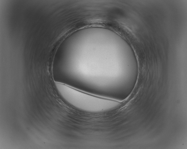 X0000074031209200608211127