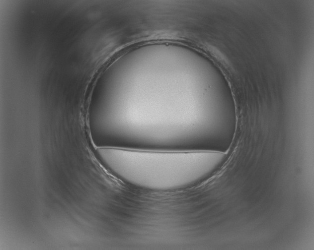 X0000074031212200608211127
