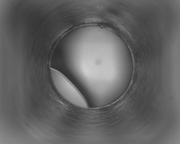 X0000074031217200608211127