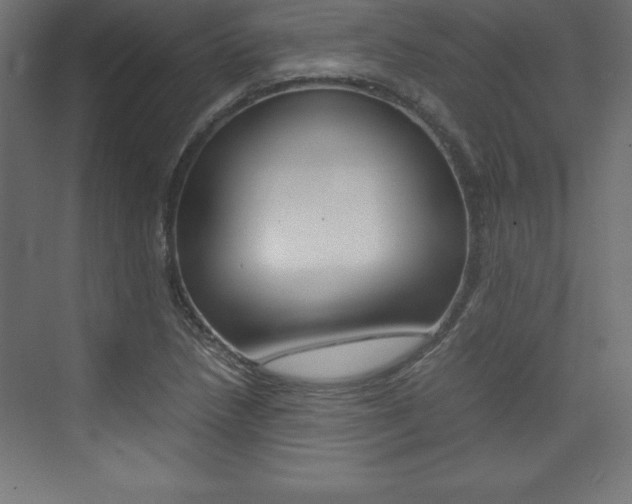 X0000074031218200608211127