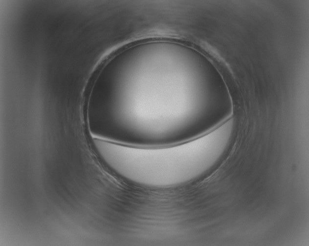 X0000074031222200608211127