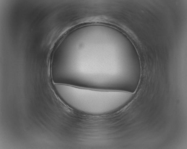 X0000074031224200608211127