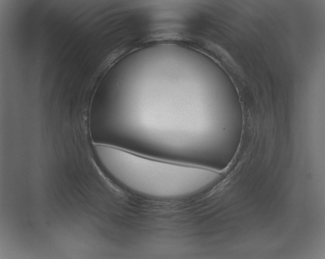 X0000074031225200608211127