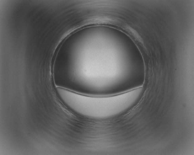 X0000074031226200608211127