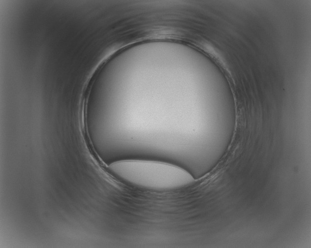 X0000074031227200608211127