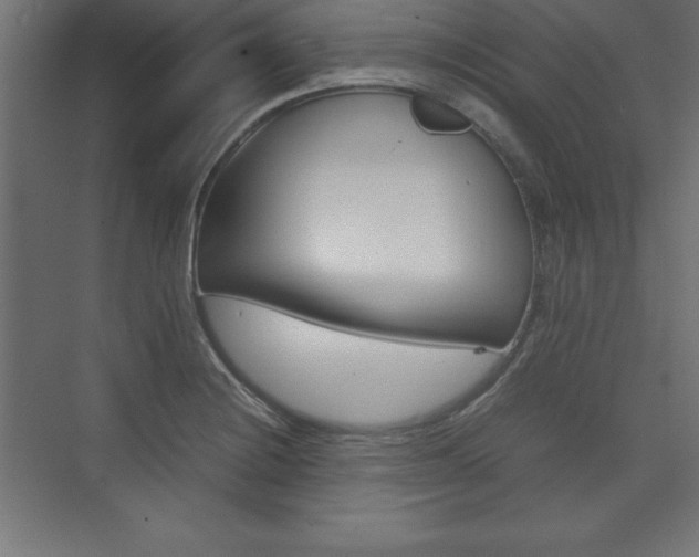 X0000074031228200608211127