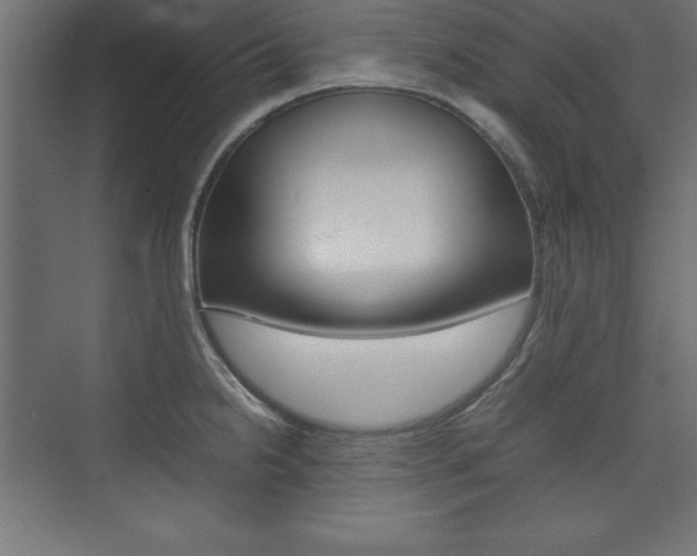 X0000074031238200608211128