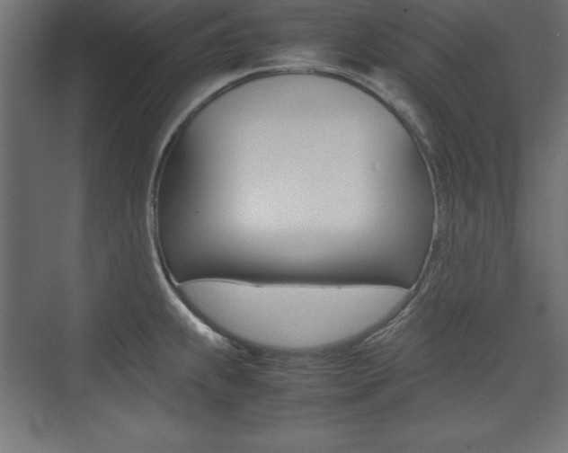 X0000074031239200608211128