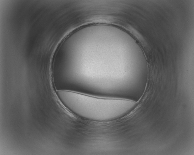 X0000074031240200608211128