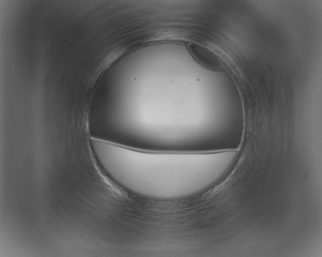X0000074031241200608211128