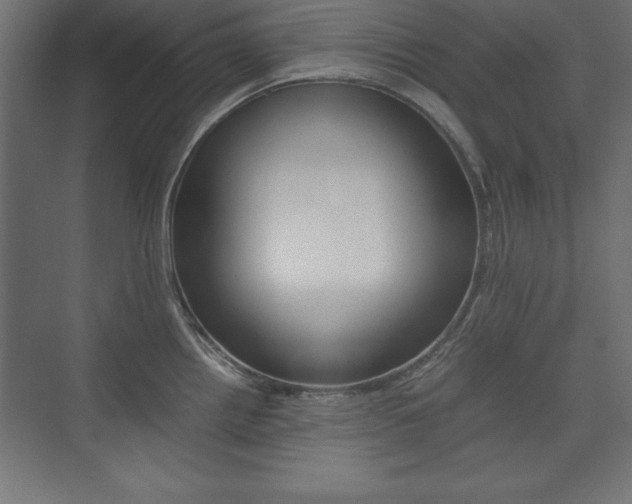 X0000074031242200608211128