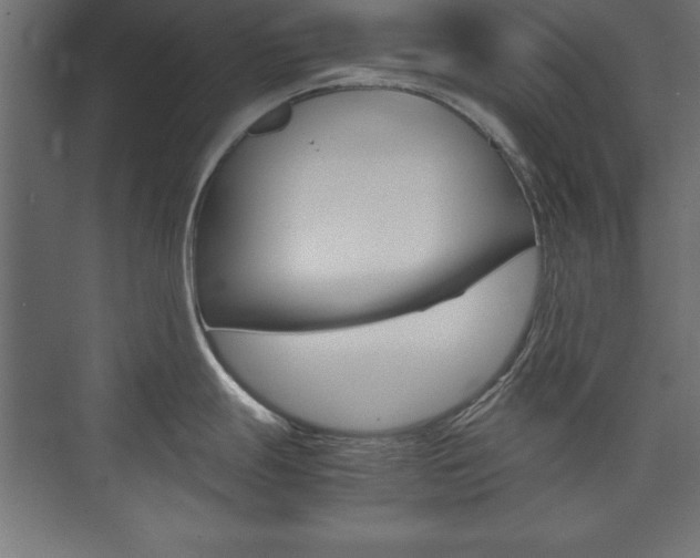X0000074031247200608211128