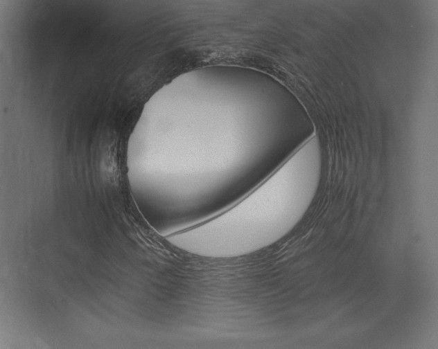X0000074031250200608211127