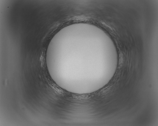 X0000074031254200608211127