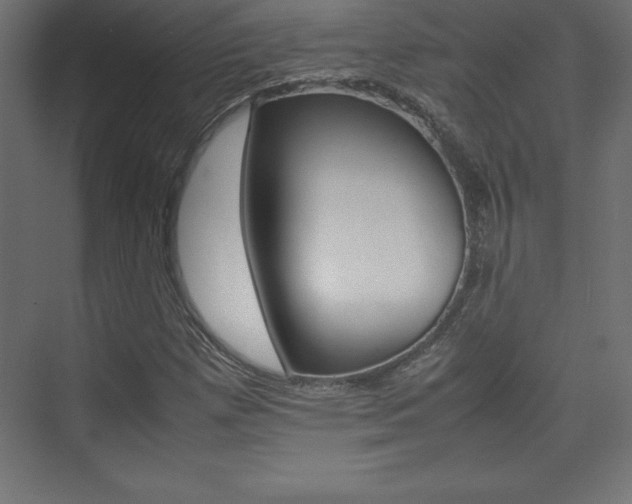 X0000074031257200608211127