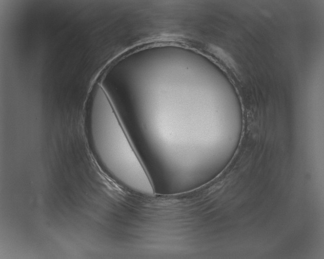 X0000074031260200608211127