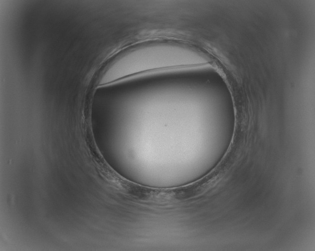 X0000074031261200608211127