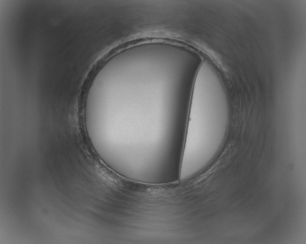 X0000074031264200608211127