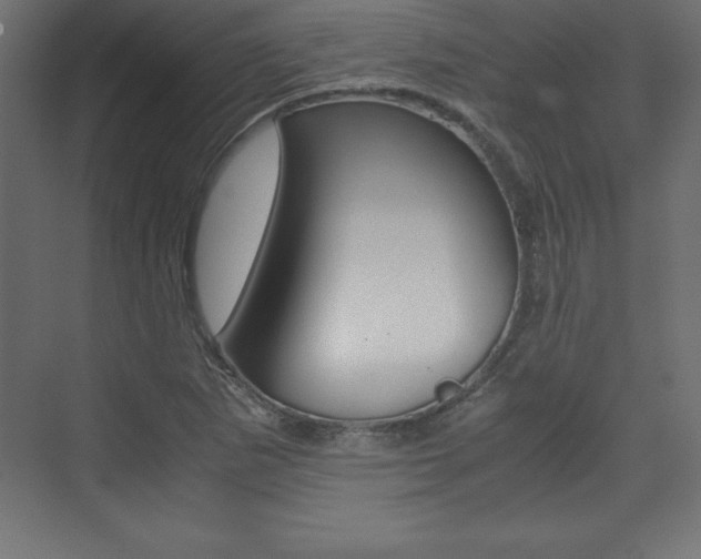X0000074031265200608211127