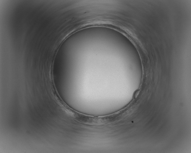 X0000074031273200608211127