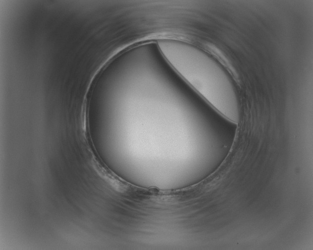 X0000074031276200608211127