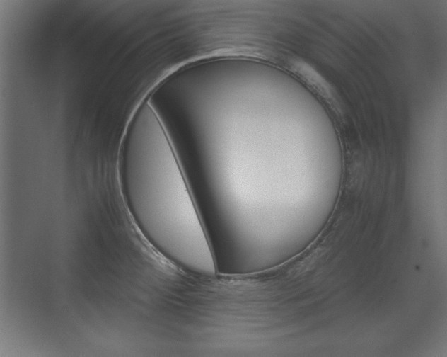 X0000074031284200608211126