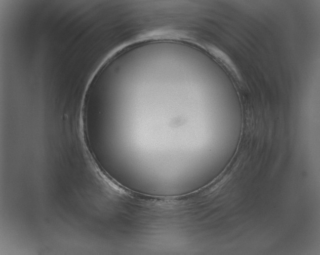 X0000074031288200608211126