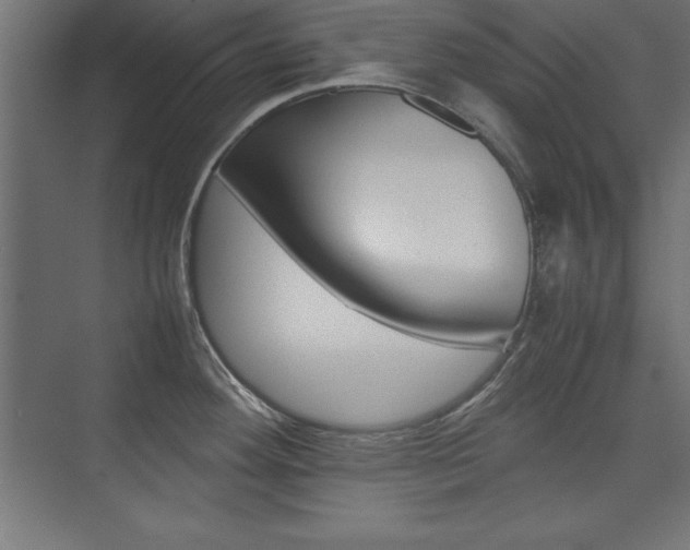 X0000074031292200608211126