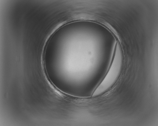 X0000074031293200608211126