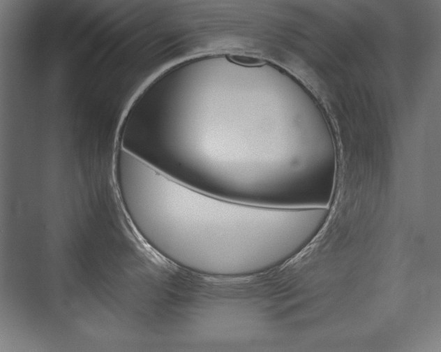 X0000074031296200608211126