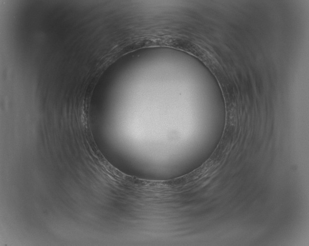 X0000074031298200608211125