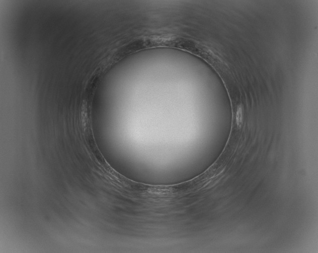 X0000074031299200608211125