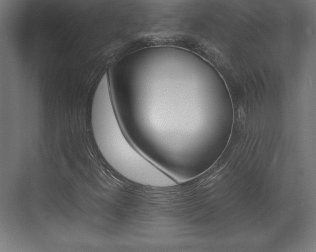 X0000074031300200608211125