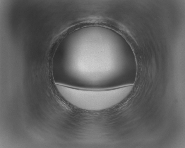 X0000074031304200608211125