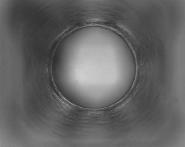 X0000074031305200608211125