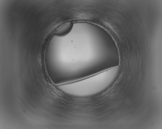 X0000074031307200608211126
