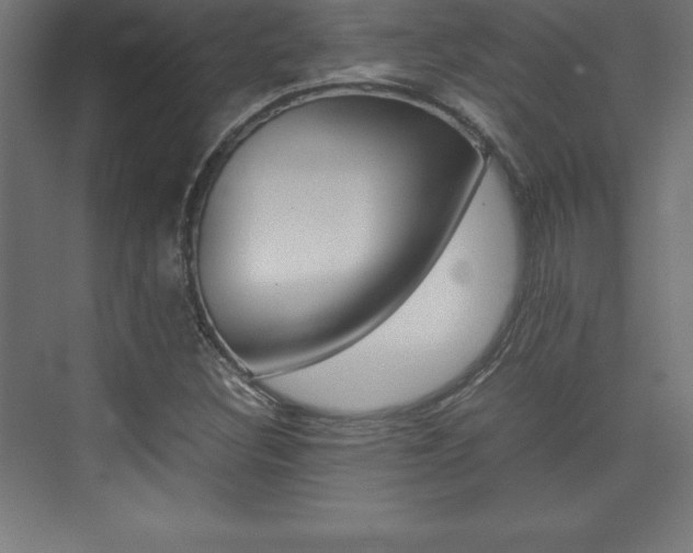 X0000074031308200608211126