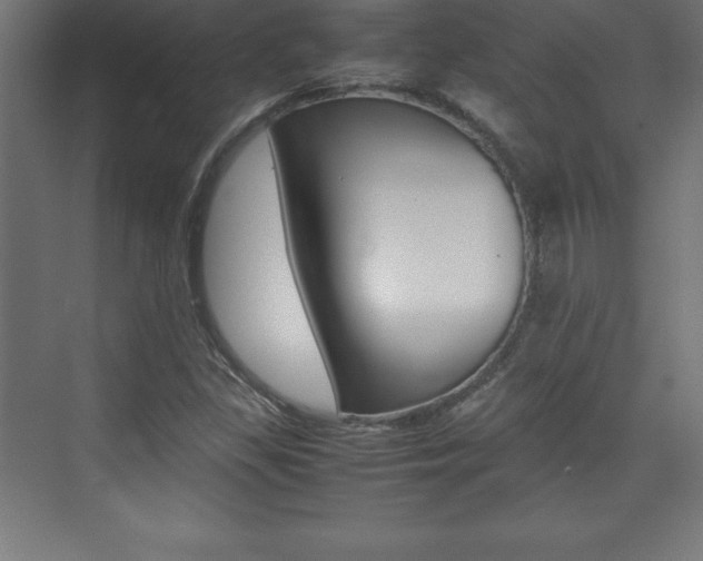 X0000074031309200608211126