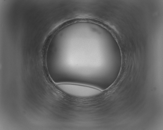 X0000074031311200608211126
