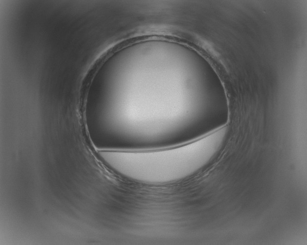 X0000074031312200608211126