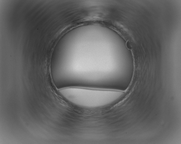 X0000074031313200608211126