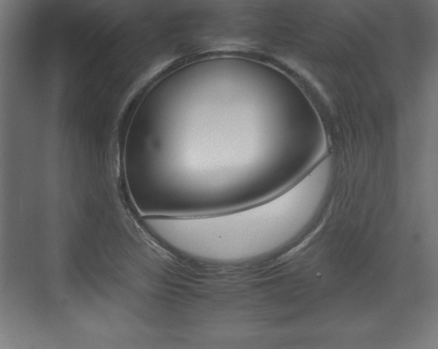 X0000074031317200608211126