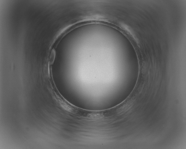 X0000074031320200608211126