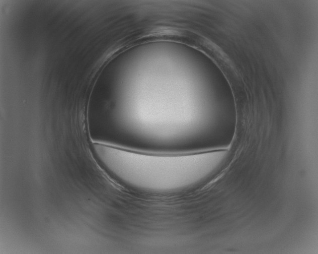 X0000074031321200608211126