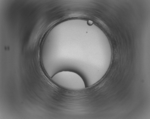 X0000074031322200608211126
