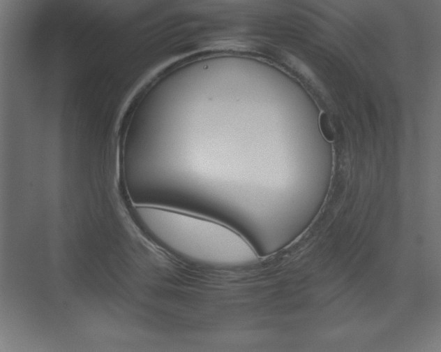 X0000074031323200608211126