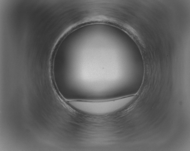 X0000074031326200608211126